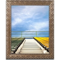 Трговска марка ликовна уметност стадион платно уметност од asonејсон Шафер, златна украсна рамка