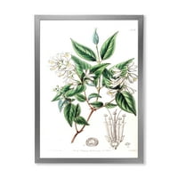 DesignArt 'Антички ботаники x' Традиционална врамена уметничка печатење