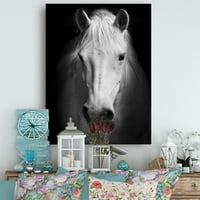 Дизајн Аарт „Бело коњ црно -бело“ животно платно уметничко печатење